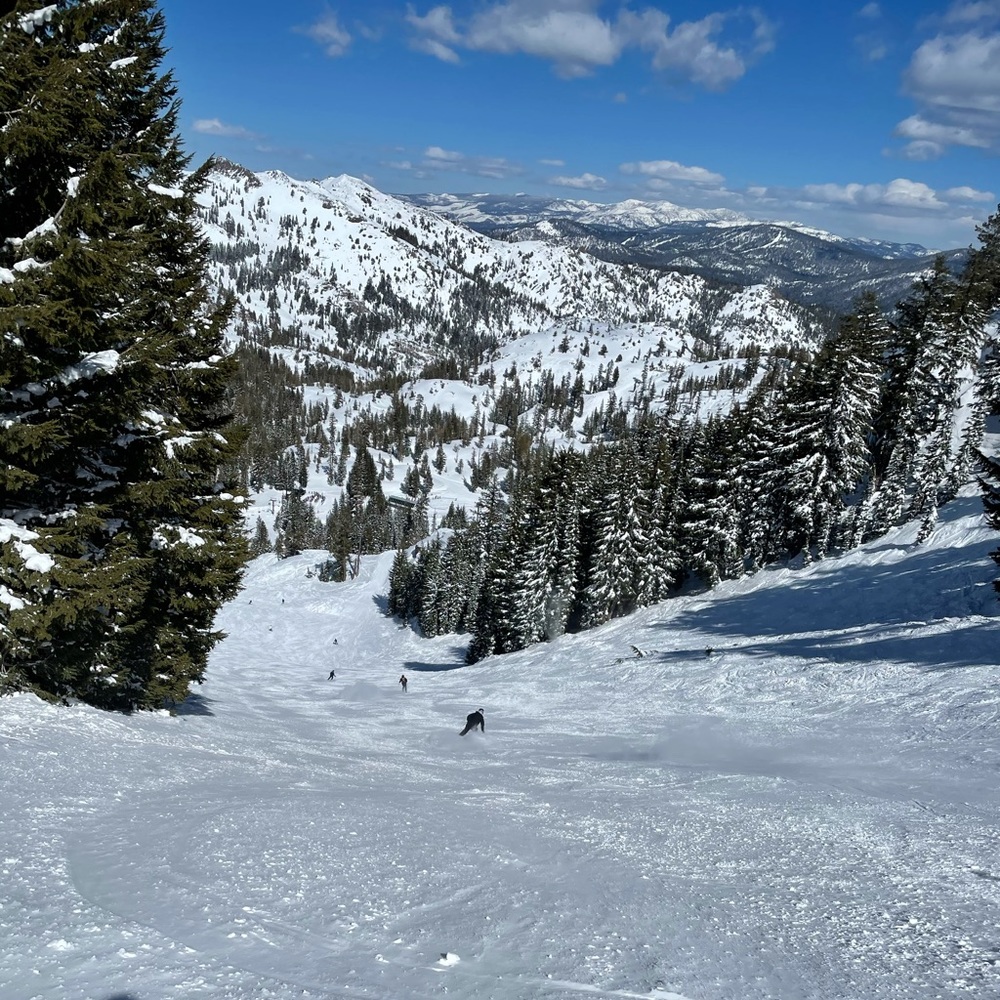 Meet your Posher, Kristof